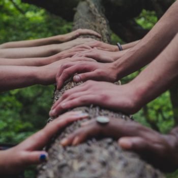 Hands on log