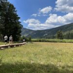 Elevated wooden walking path above meadow in mountains