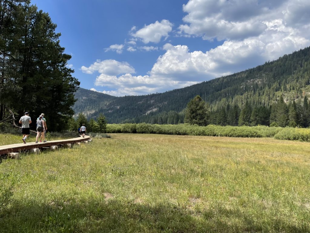 Elevated wooden walking path above meadow in mountains