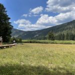 Elevated wooden walking path above meadow in mountains