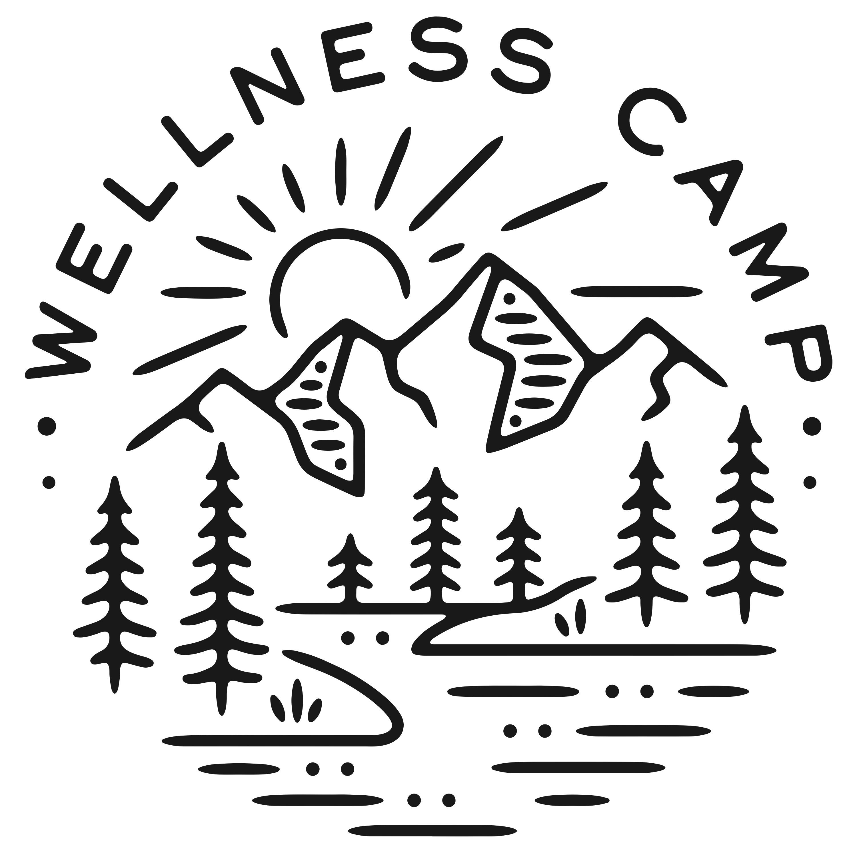 Wellness Camp